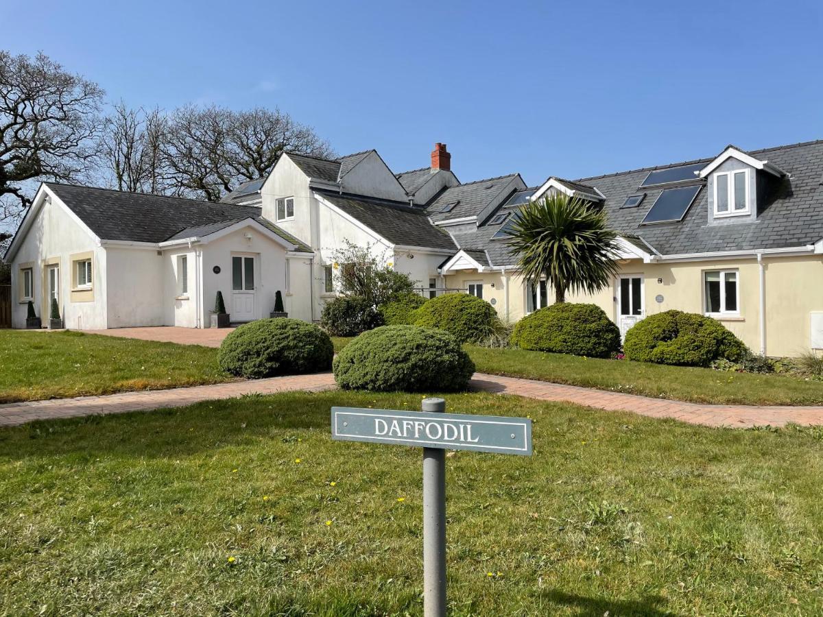 Daffodil Apartment Tenby Εξωτερικό φωτογραφία