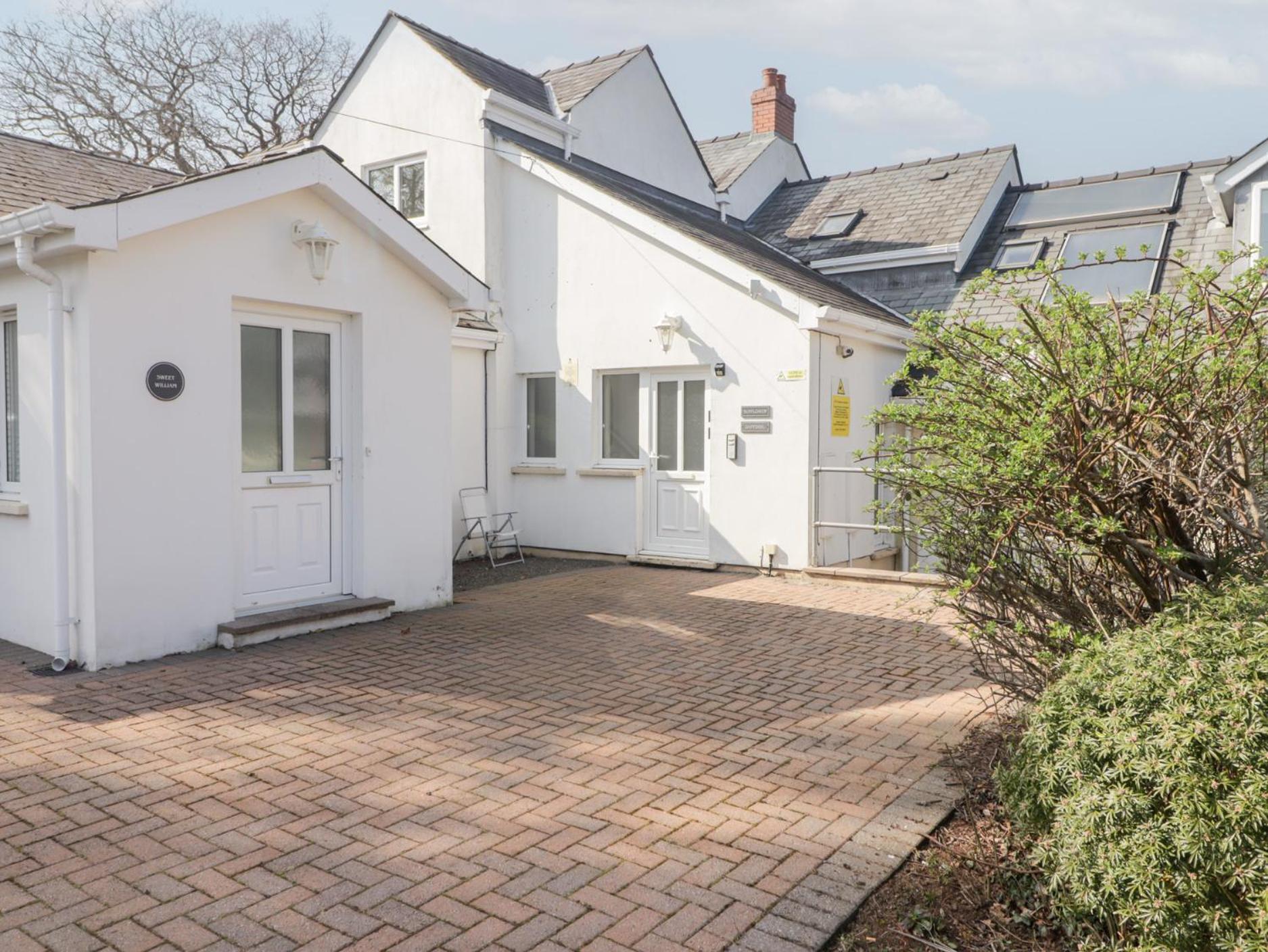 Daffodil Apartment Tenby Εξωτερικό φωτογραφία