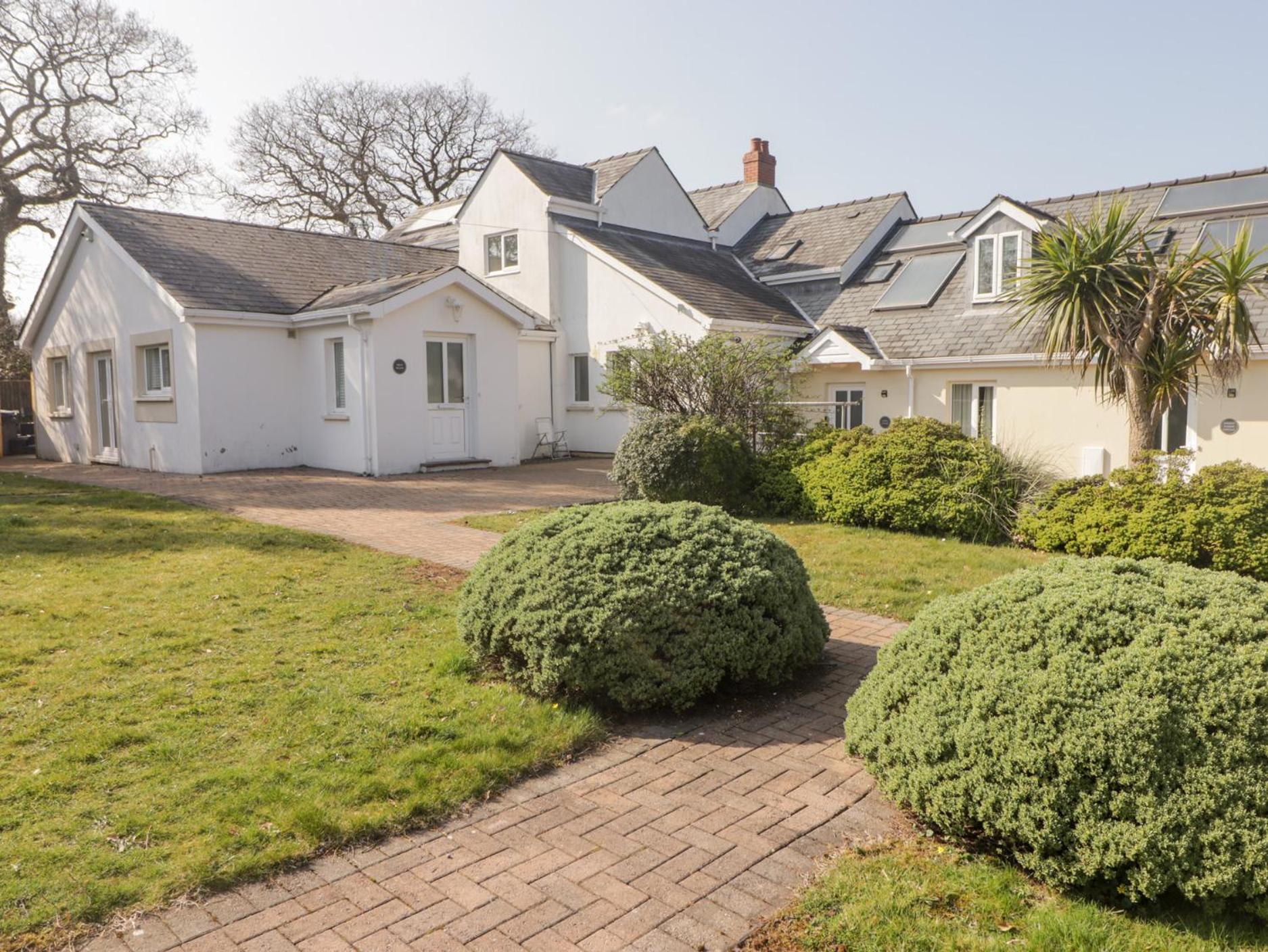 Daffodil Apartment Tenby Εξωτερικό φωτογραφία