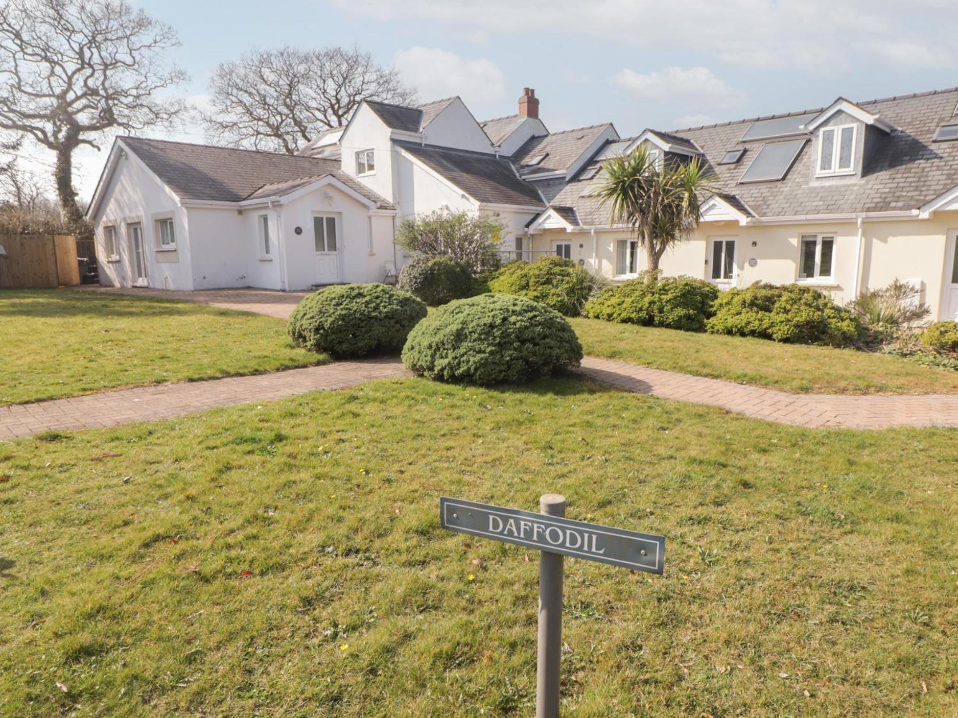 Daffodil Apartment Tenby Εξωτερικό φωτογραφία